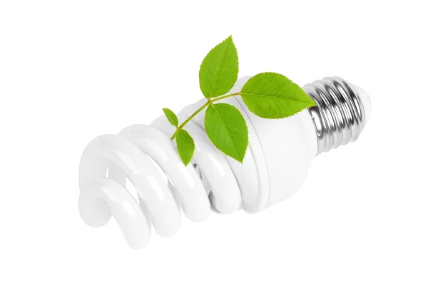 Energy saving light bulb and plant Stock Photo