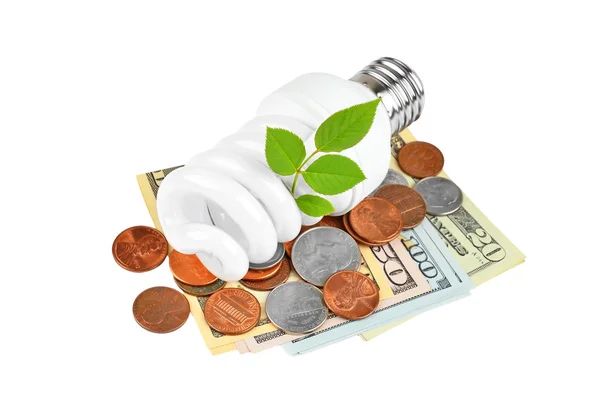 Ampoule à économie d'énergie, argent et usine — Photo