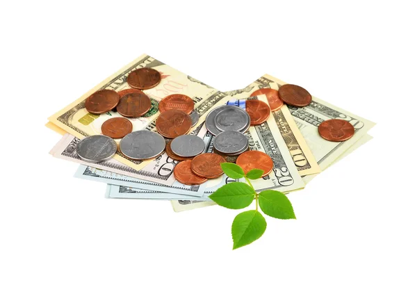 Money and green leaf — Stock Photo, Image