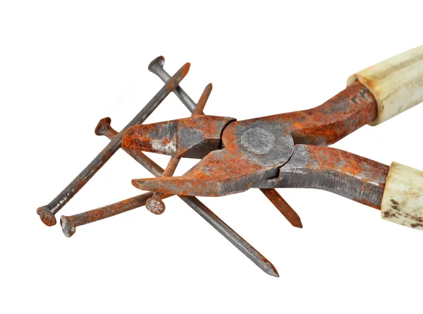 Clavo oxidado y cortador de alambre —  Fotos de Stock