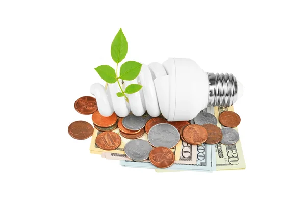 Energy saving light bulb, money and plant — Stock Photo, Image