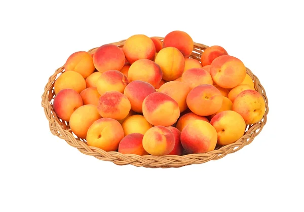Apricot in Chalinolobus plaat — Stockfoto