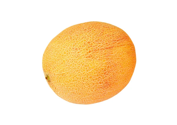 Cantaloupmelon — Stockfoto