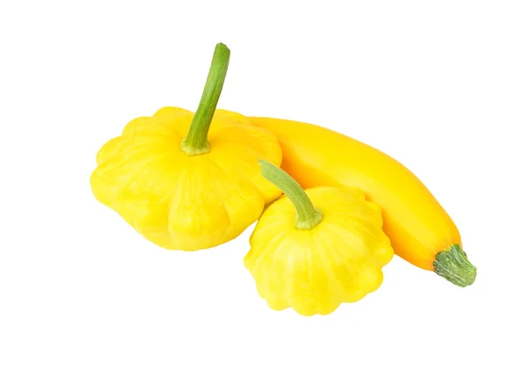 Jakobsmuschel-Pudding und Knochenmark-Kürbis (cucurbita pepo var. patisson) — Stockfoto