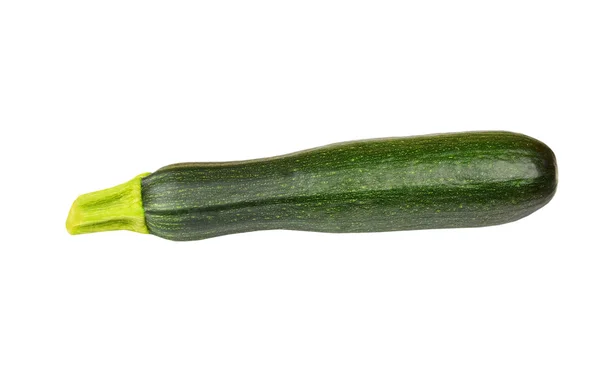Vegetabiliska märg (zucchini) — Stockfoto