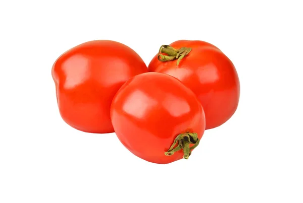 Tomate — Foto de Stock