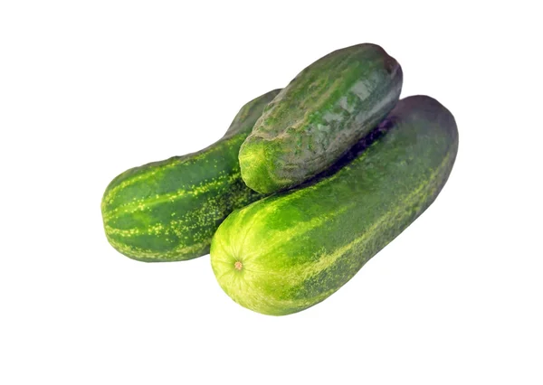 Cucumber gherkin — Stock Photo, Image