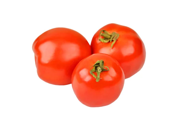 Tomaten — Stockfoto