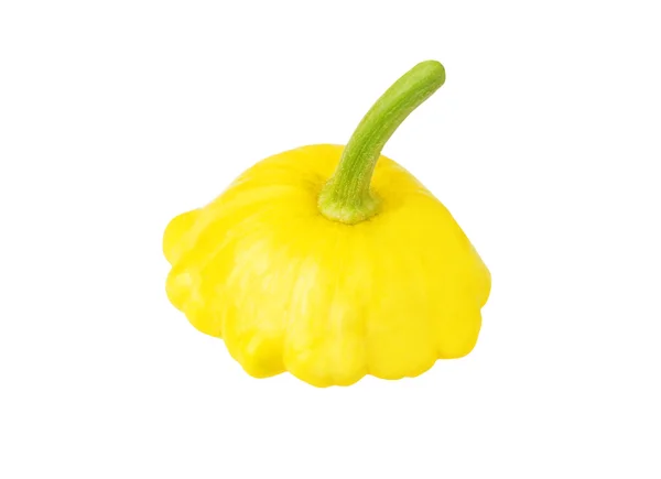 Gegratineerde vla squash (Cucurbita pepo var. patisson) — Stockfoto