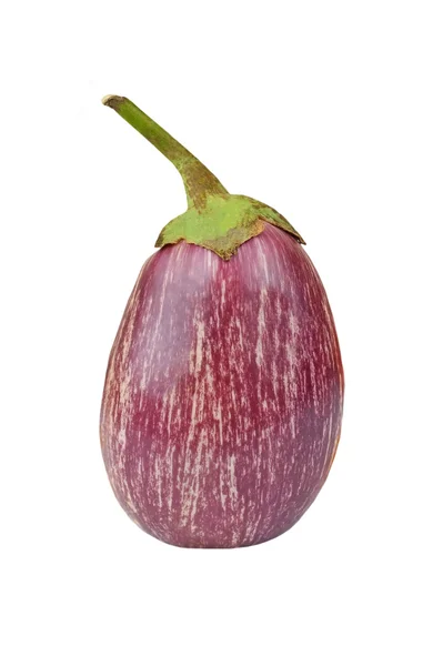 Aubergine — Stockfoto