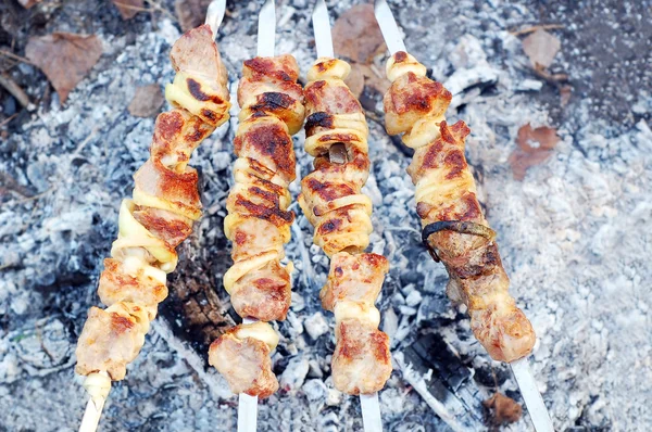 Shish kebab, Dof — Foto de Stock