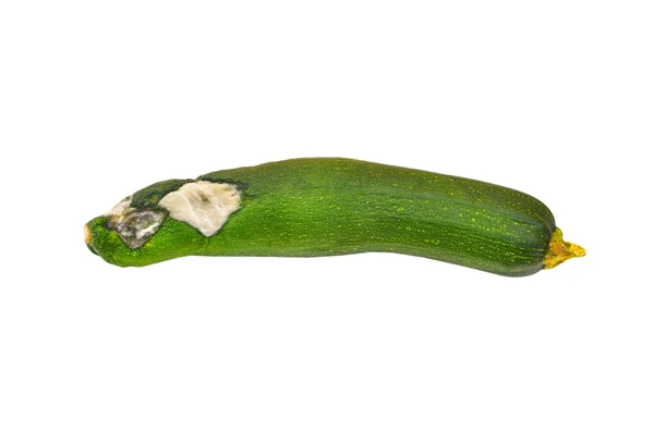 Geschmolzenes Gemüsemark (Zucchini)) — Stockfoto