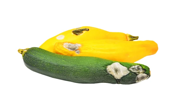 Geschmolzenes Gemüsemark (Zucchini)) — Stockfoto