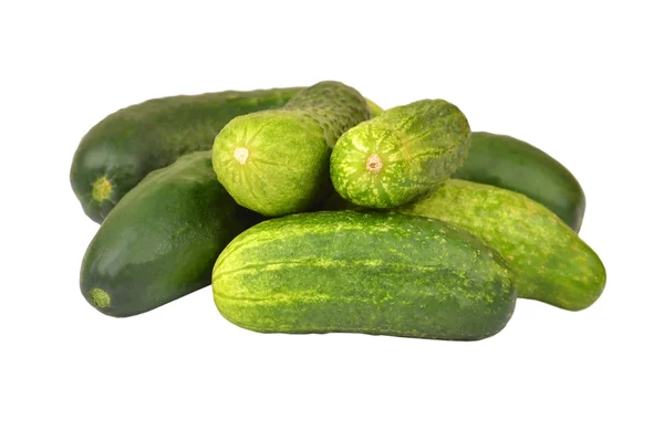 Cucumber gherkin — Stock Photo, Image