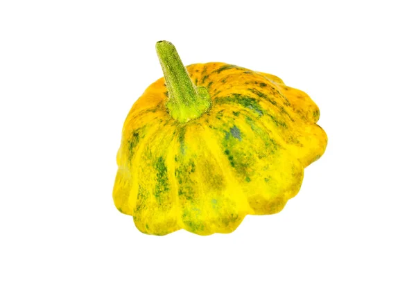 Taraklı muhallebi squash (Cucurbita pepo var. patisson) — Stok fotoğraf