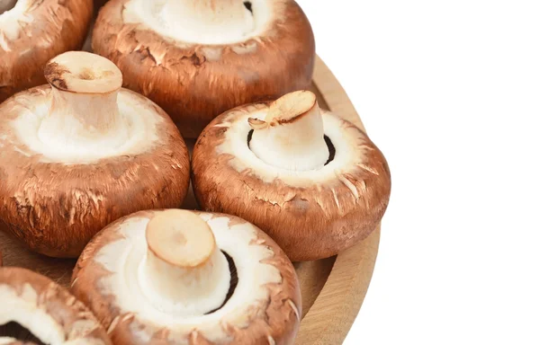 Ahşap tahta üzerinde champignon (gerçek mantar)