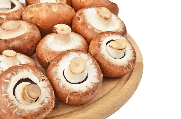 Ahşap tahta üzerinde champignon (gerçek mantar)