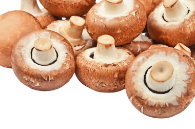 Champignon (gerçek mantar)