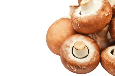 Champignon (gerçek mantar)