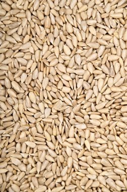 Doğal besin kaynağı olarak soyulmuş ayçekirdeği