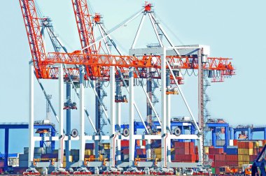 Odessa, Ukrayna 'daki liman yük vinci ve konteynırı