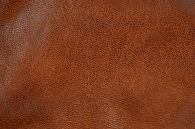 Doğal deri arka plan