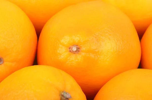 Orange fruit, close up Stock Picture
