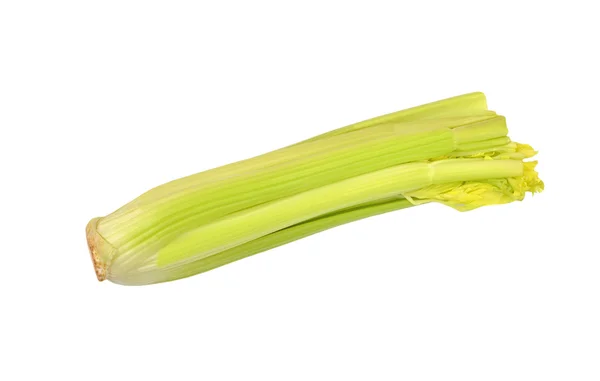 Selleri med grönt spira — Stockfoto