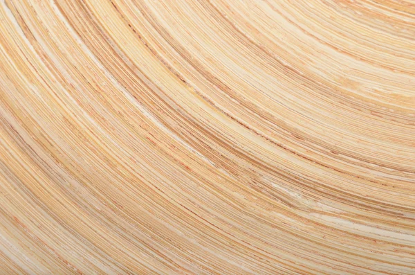 Holz strukturierten Hintergrund — Stockfoto