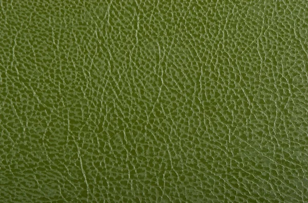 Light Green Faux Leather Texture Close-Up Stock Photo, Picture and Royalty  Free Image. Image 17357226.