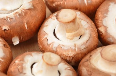 Champignon (gerçek mantar)