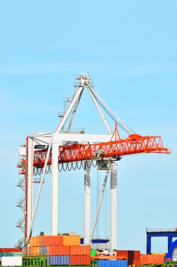 bağlantı noktası kargo vinç