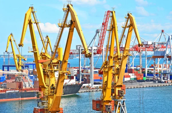 Port cargo crane — Stock Photo, Image