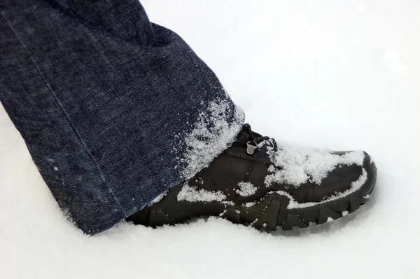 Bota en nieve —  Fotos de Stock