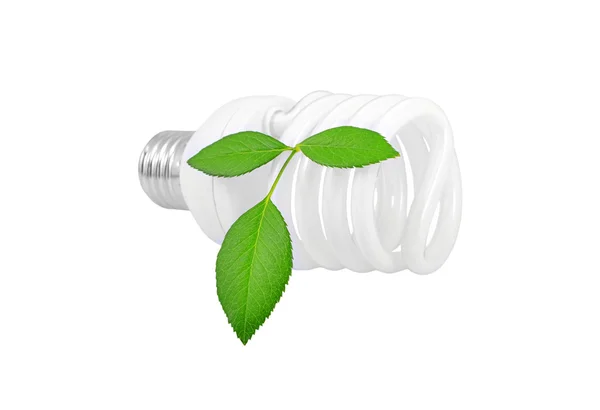 Energiesparlampe und Pflanze — Stockfoto