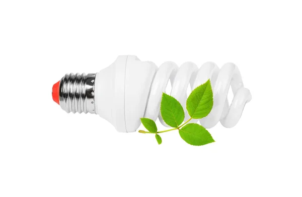 Energy saving light bulb and plant Stock Image