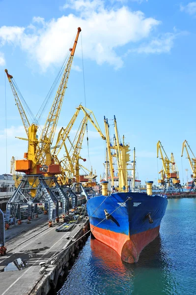 Bulk cargo ship under port crane — Stock Photo, Image