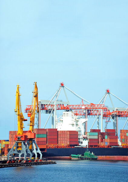 Cargo crane and ship