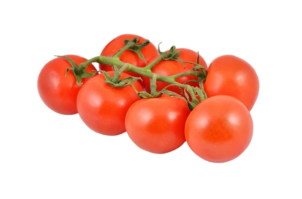 Tomate sur blanc — Photo