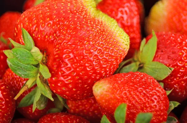 Fragola, da vicino — Foto Stock