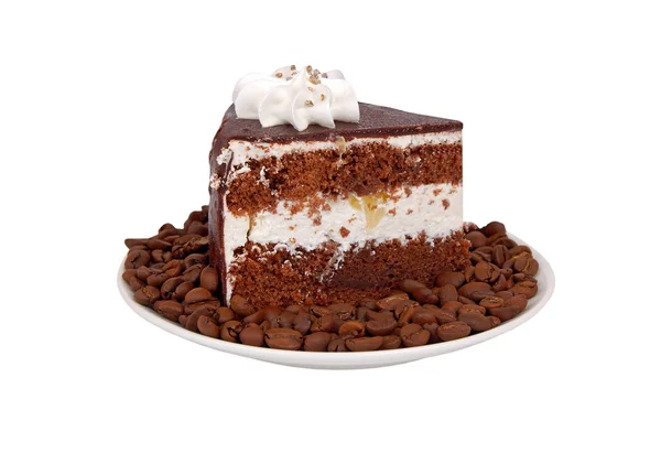 Chocolate cake on coffee seed — Stock Photo, Image
