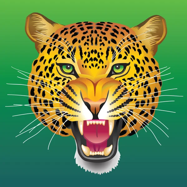 Illustrazione vettoriale di un leopardo — Vettoriale Stock
