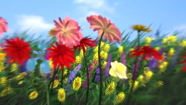 Dance of flowers - HD — Stock Video