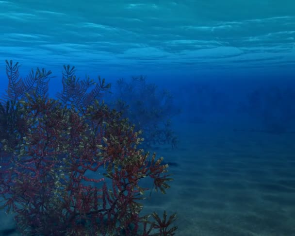 Sous l'eau