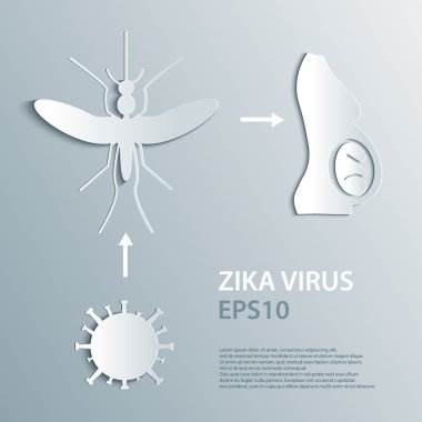 Sivrisinek aedes, zika virüs ve hamile kadın. Zika virüs salgını ve seyahat uyarısı infographics. Kağıt, origami, 3d kavramı.