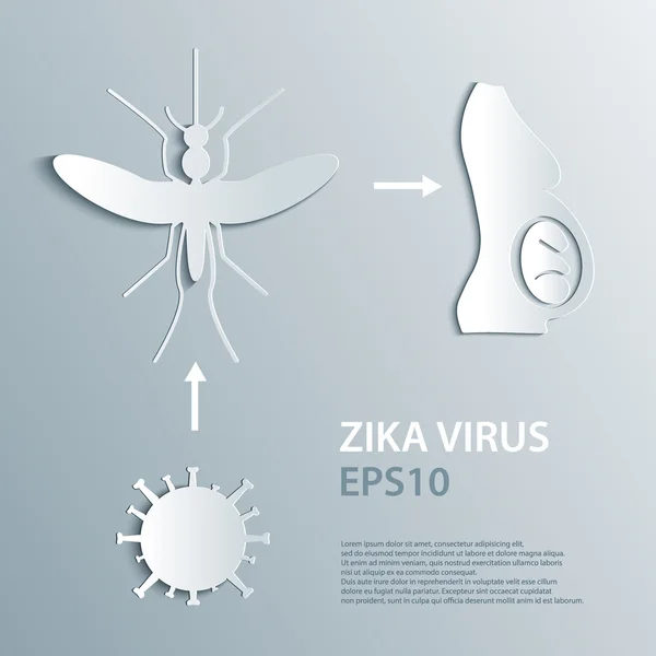 Mosquito aedes, zika vírus e mulher grávida. Zika vírus Surto e viagens Alerta infográficos. Papel, origami, conceito 3d . — Vetor de Stock