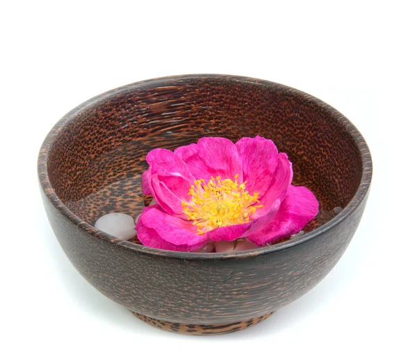 Dog-rose in a bowl — Stock Photo, Image