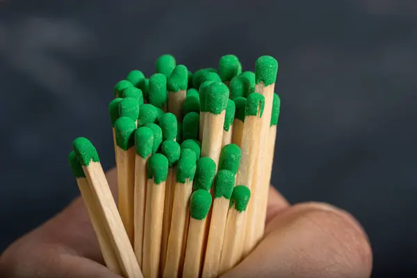 Long Wooden Matches Green Gray Hand — Stock Photo, Image
