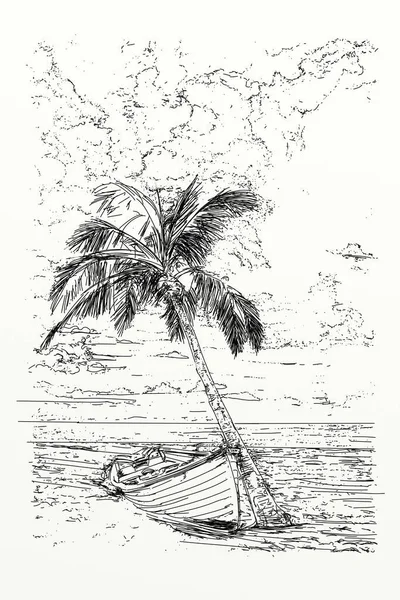 Boat and palm drawing in copy from life