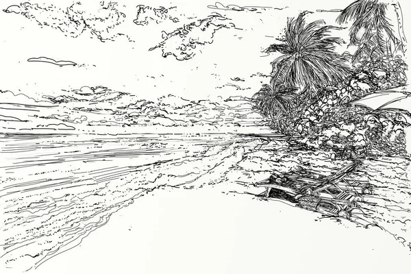 Boat and palm drawing in copy from life